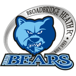 Crest of broadbridge-heath
