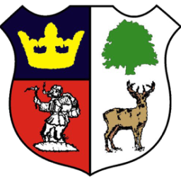 Crest of cinderford-town
