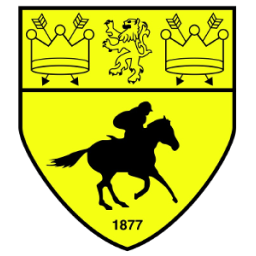 Crest of newmarket-town