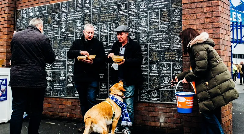 Dog-friendly ground